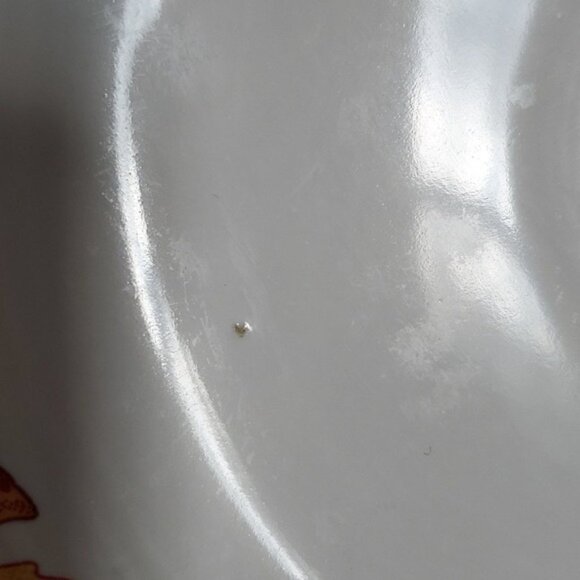 Fiestaware Fiesta Fall Leaves Acorn Ceramic 9" Luncheon Plate Classic Rim White - Picture 9 of 16